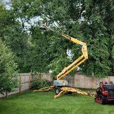 Seasonal Cleanup in Gilmer, TX